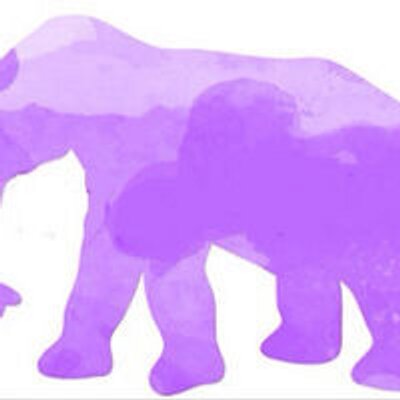 Profile Picture of Mike Sinopoli (@cbwemsIdella) on Twitter