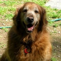 Profile Picture of Steven Sobol (@steven-sobol) on Quora