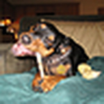 Profile Picture of Leah Williams (@lwilliams_1983) on Flickr