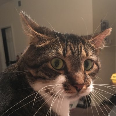 Profile Picture of James Wick (@jameswick) on Twitter