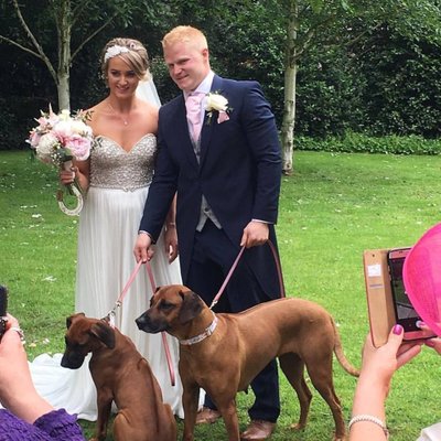 Profile Picture of Joel Gill (@gill_joel) on Twitter