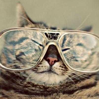 Profile Picture of James Kowalewski (@KowalewskiJames) on Twitter
