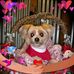 Profile Picture of Peggy Lockett Glover (@Peggy-Lockett-Glover) on Facebook