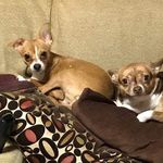 Profile Picture of Mitzi Daniels (@miraclebgus) on Instagram