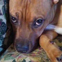 Profile Picture of Ted Mcdaniel (@ted-mcdaniel-3) on Quora