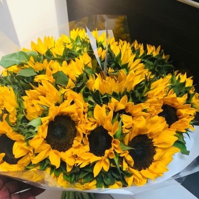 Profile Picture of Gin Yang 🍑🍌 (@oratile_mashaba) on Twitter