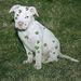Profile Picture of Michael Larew (@larewm) on Pinterest
