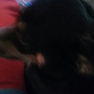 Profile Picture of Ancil Powers (@ancil.powers) on Facebook