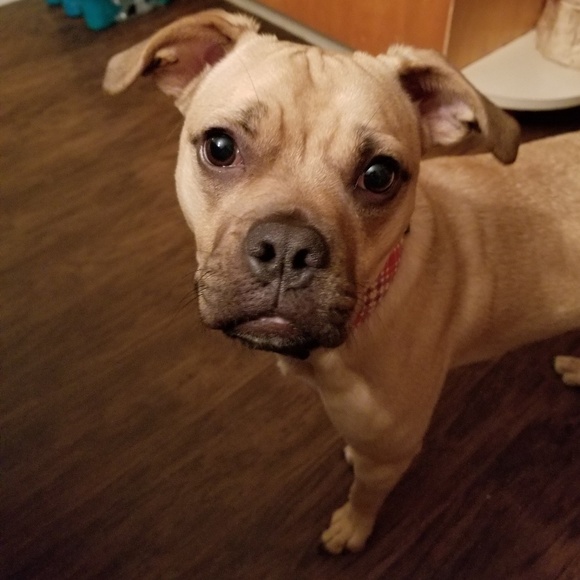 Ellen Hipkins - Poshmark Profile Picture of Ellen Hipkins (@ellenhipkins) on Poshmark