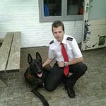 Profile Picture of Brian Bergsma (@brianbergsma) on Instagram