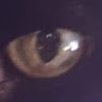 Profile Picture of Nathan Quigley (@nathan-quigley-16) on Quora