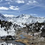 Profile Picture of Celia Hart (@Celia-Hart) on Facebook