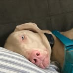 Profile Picture of Austin Keller (@austin.keller.809086) on Facebook