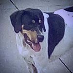 Profile Picture of Keith Puckett (@keith_puckett_208) on Instagram