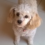 Profile Picture of Wanda Cabrera Pizarro (@wanditacabrera) on Instagram