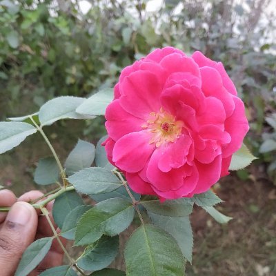 Profile Picture of Chitra Mohan (@Chitram17659332) on Twitter