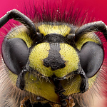 Profile Picture of Arslan Uçar (@arslan uÇar) on Flickr