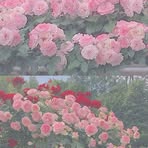 Profile Picture of Elma Candace (@elma.candace) on Facebook