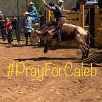 Vicki Wood - Quora Profile Picture of Vicki Wood (@vicki-wood-23) on Quora