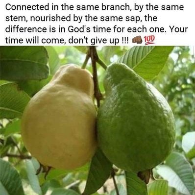 Profile Picture of Joseph M Kays (@JosephMKays1) on Twitter