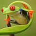 Profile Picture of William O'keefe (@okeefe2376) on Pinterest