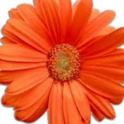 Profile Picture of Beth Thomas (@beththomas1930) on Youtube