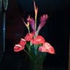 Profile Picture of Marilyn Fey (@marilyn.fey.7) on Facebook
