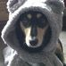 Profile Picture of MistyMoo Wainwright (@mistymoo.wainwright) on Facebook