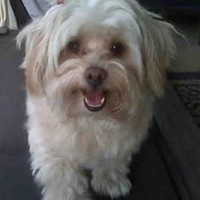 Profile Picture of Ariel Mcclendon (@ariel-mcclendon) on Quora