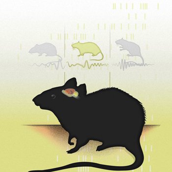 Profile Picture of Laura Colgin (@ColginLab) on Twitter