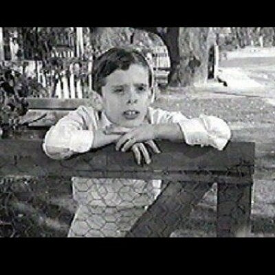 Profile Picture of Dill Harris (@HarrisDill) on Twitter