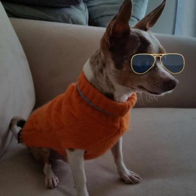 Profile Picture of Erik Otteson (@eaotteson) on Twitter