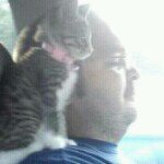 Profile Picture of Bobby Proffitt (@laker2004) on Instagram