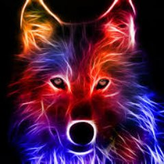 Profile Picture of Jeremy Horne (@JeremyHorne20) on Twitter