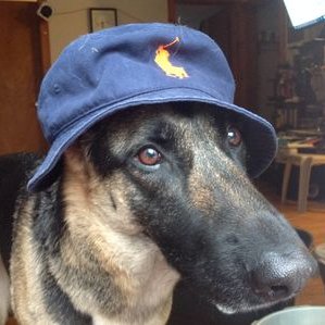 Profile Picture of @carsonmashler (@TheFunGuyFarm) on Twitter