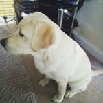 Profile Picture of charlotte.pullen (@charlotte.pullen) on Instagram