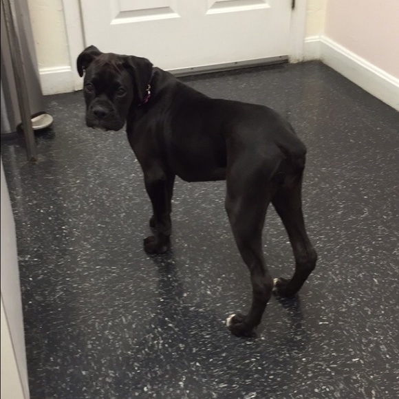 Profile Picture of Jaime Higgins (@jhiggsx3) on Poshmark