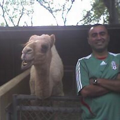 Profile Picture of Adolfo Cobos De Leon (@cobos_74) on Twitter