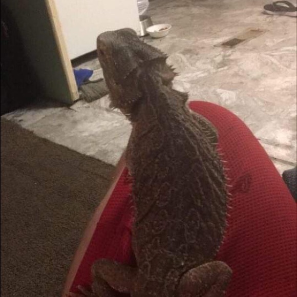 Profile Picture of Eric Brewer (@ericbrewerked) on Poshmark