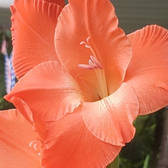 Profile Picture of Katherine Pietanza (@katiebenima) on Poshmark