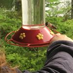 Profile Picture of Shelley McDade (@scmcdade) on Instagram