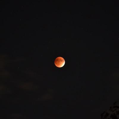 Profile Picture of Ashish Deshmukh (@AshishRD) on Twitter