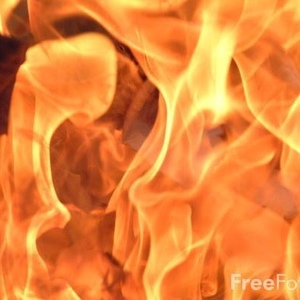 Profile Picture of Daryl Wren (@g3rb1l) on Myspace