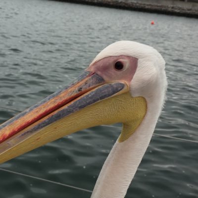 Profile Picture of Edward Griffiths (@eroyg) on Twitter