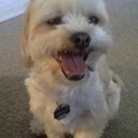 Profile Picture of Nathan Dostal (@nathan-dostal) on Quora