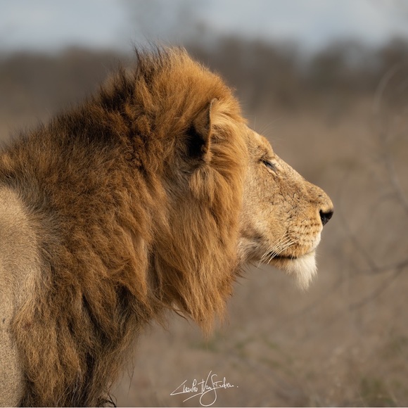 Profile Picture of Michael Creswell (@michaelcresw696) on Poshmark