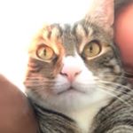 Profile Picture of sam brubaker [ehhs 2023] (@stinky.sam) on Instagram