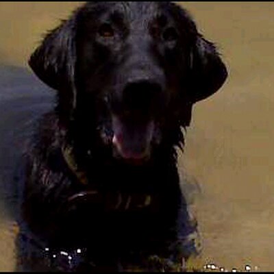 Profile Picture of Clark Watts (@nema3x) on Twitter