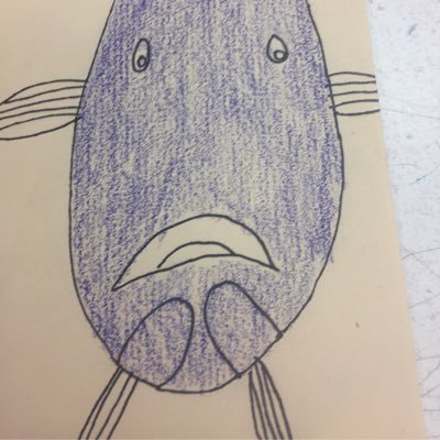 Profile Picture of Daily Fish (@RealJohnShope) on Twitter