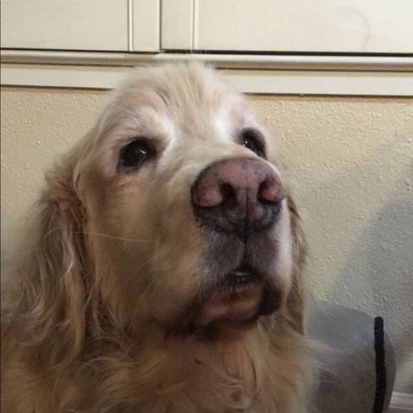 Profile Picture of Jadyn Franzia (@jadynfranzia) on Poshmark